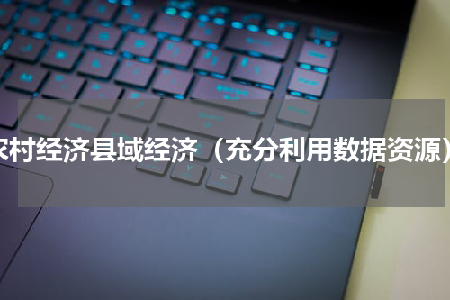 农村经济县域经济（充分利用数据资源）