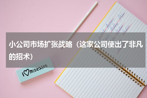 小公司市场扩张战略（这家公司使出了非凡的招术）