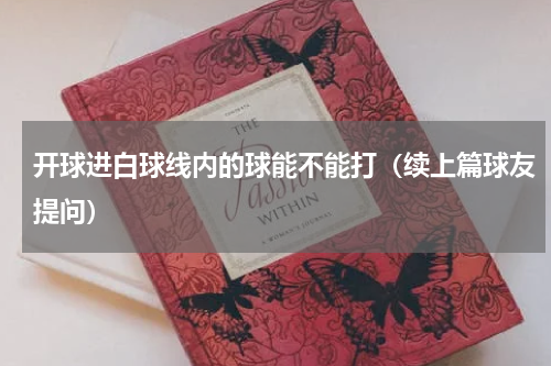 开球进白球线内的球能不能打（续上篇球友提问）