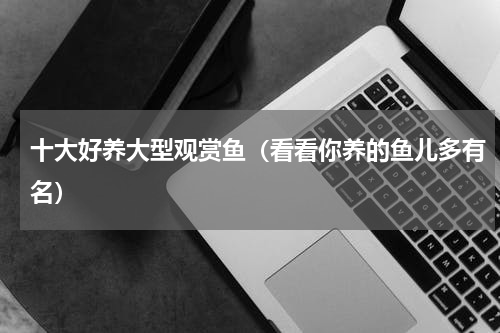 十大好养大型观赏鱼（看看你养的鱼儿多有名）