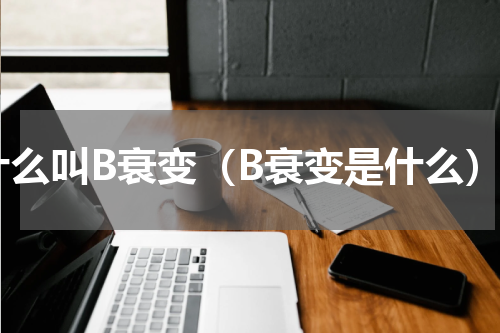 什么叫B衰变（B衰变是什么）