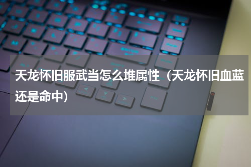 天龙怀旧服武当怎么堆属性（天龙怀旧血蓝还是命中）