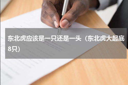 东北虎应该是一只还是一头（东北虎大起底8只）