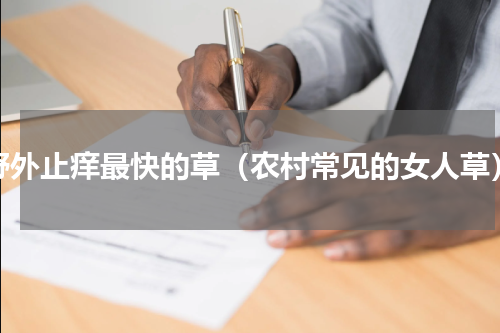 野外止痒最快的草（农村常见的女人草）