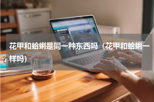 花甲和蛤蜊是同一种东西吗（花甲和蛤蜊一样吗）