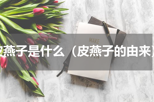 皮燕子是什么（皮燕子的由来）