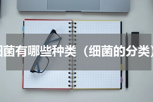 细菌有哪些种类（细菌的分类）