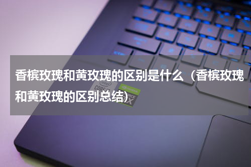 香槟玫瑰和黄玫瑰的区别是什么（香槟玫瑰和黄玫瑰的区别总结）
