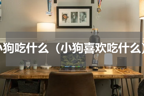 小狗吃什么（小狗喜欢吃什么）