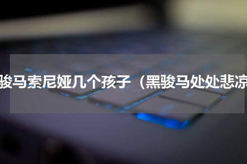 黑骏马索尼娅几个孩子（黑骏马处处悲凉）