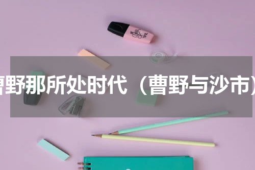 曹野那所处时代（曹野与沙市）