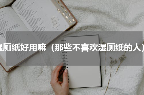 湿厕纸好用嘛（那些不喜欢湿厕纸的人）