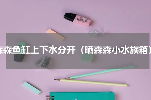 森森鱼缸上下水分开（晒森森小水族箱）