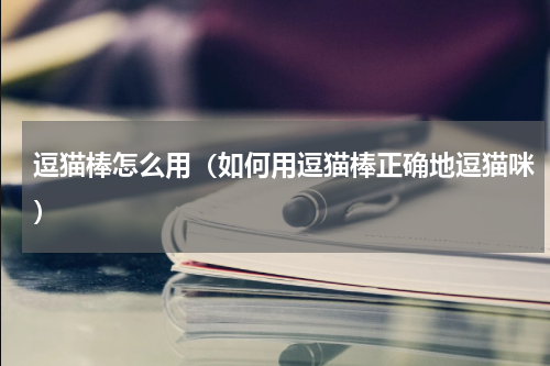 逗猫棒怎么用（如何用逗猫棒正确地逗猫咪）