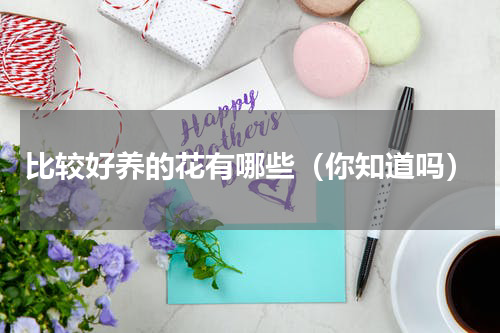 比较好养的花有哪些（你知道吗）