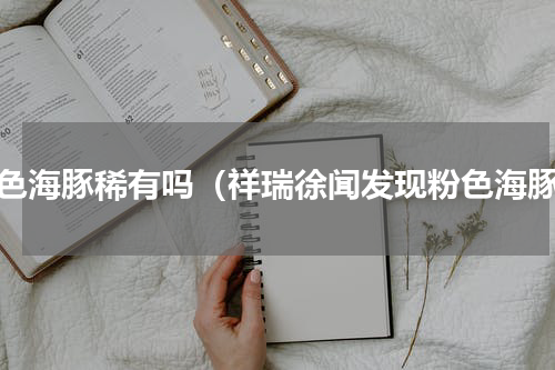 粉色海豚稀有吗（祥瑞徐闻发现粉色海豚）