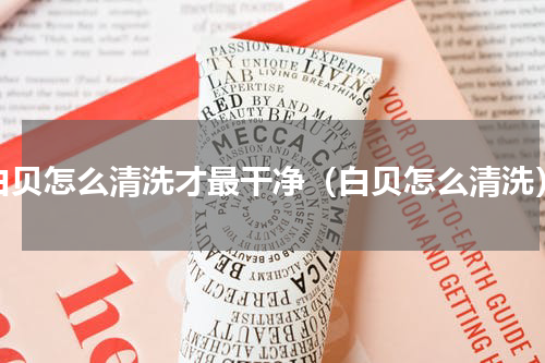 白贝怎么清洗才最干净（白贝怎么清洗）