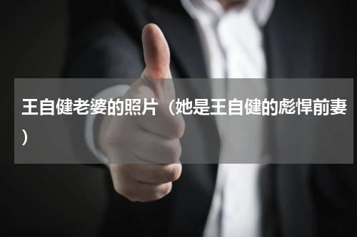 王自健老婆的照片（她是王自健的彪悍前妻）