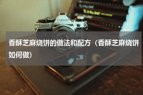 香酥芝麻烧饼的做法和配方（香酥芝麻烧饼如何做）