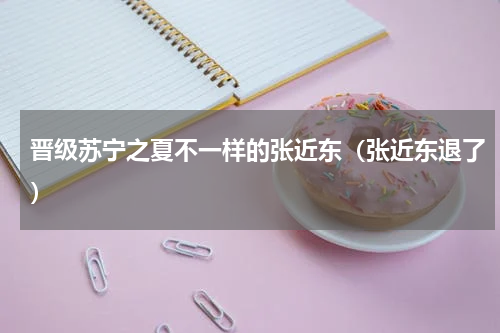 晋级苏宁之夏不一样的张近东（张近东退了）