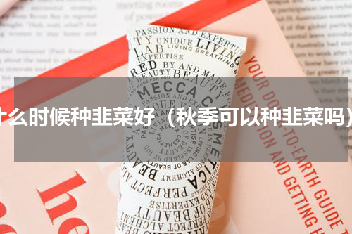 什么时候种韭菜好（秋季可以种韭菜吗）