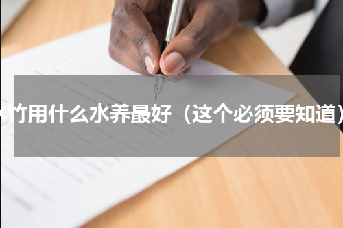 水竹用什么水养最好（这个必须要知道）