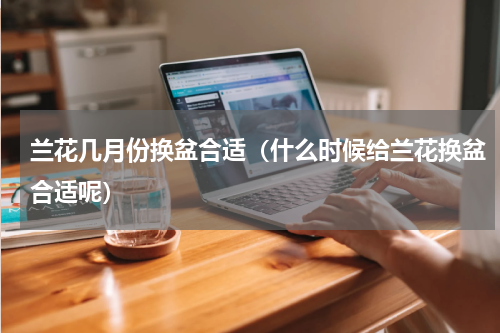 兰花几月份换盆合适（什么时候给兰花换盆合适呢）
