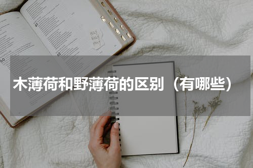 木薄荷和野薄荷的区别（有哪些）