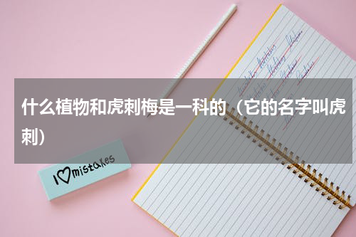 什么植物和虎刺梅是一科的（它的名字叫虎刺）