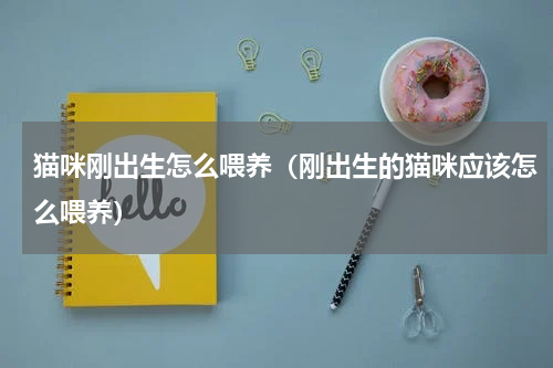 猫咪刚出生怎么喂养（刚出生的猫咪应该怎么喂养）