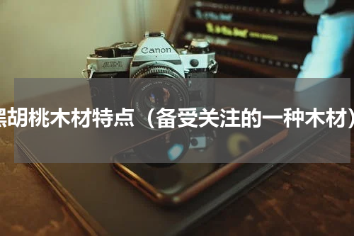 黑胡桃木材特点（备受关注的一种木材）
