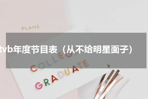 tvb年度节目表（从不给明星面子）