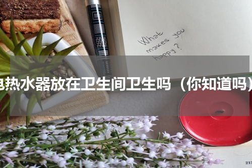 电热水器放在卫生间卫生吗（你知道吗）