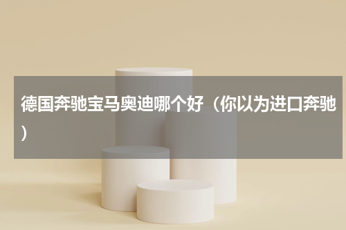 德国奔驰宝马奥迪哪个好（你以为进口奔驰）