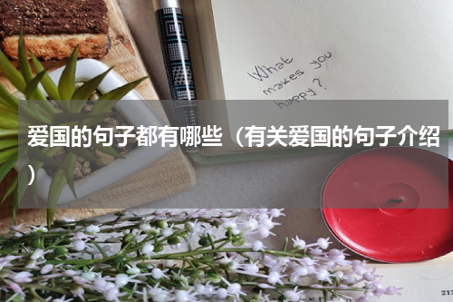 爱国的句子都有哪些（有关爱国的句子介绍）