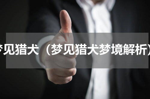 梦见猎犬（梦见猎犬梦境解析）