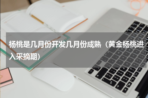 杨桃是几月份开发几月份成熟（黄金杨桃进入采摘期）