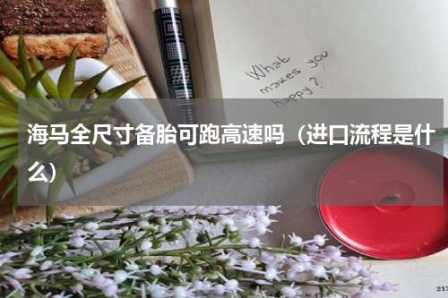 海马全尺寸备胎可跑高速吗（进口流程是什么）