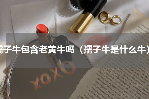孺子牛包含老黄牛吗（孺子牛是什么牛）
