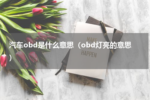 汽车obd是什么意思（obd灯亮的意思）