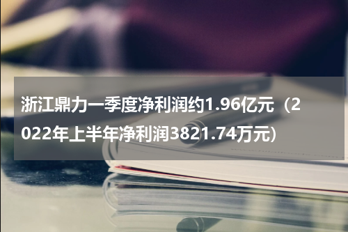 浙江鼎力一季度净利润约1.96亿元（2022年上半年净利润3821.74万元）