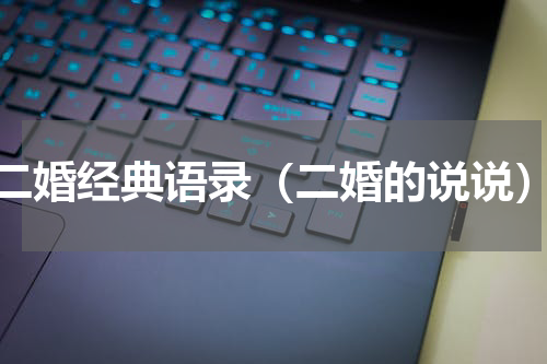 二婚经典语录（二婚的说说）