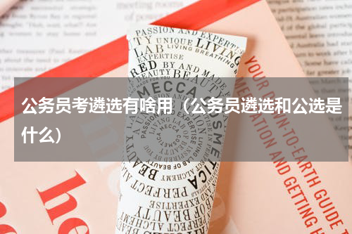 公务员考遴选有啥用（公务员遴选和公选是什么）