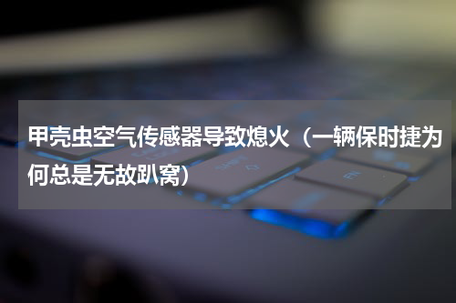 甲壳虫空气传感器导致熄火（一辆保时捷为何总是无故趴窝）