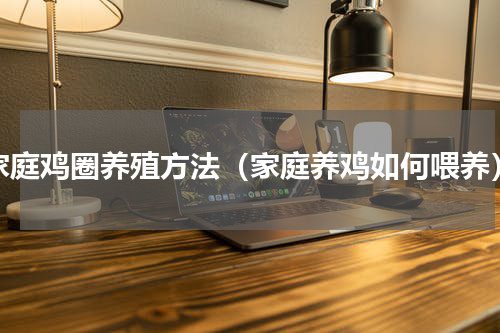 家庭鸡圈养殖方法（家庭养鸡如何喂养）