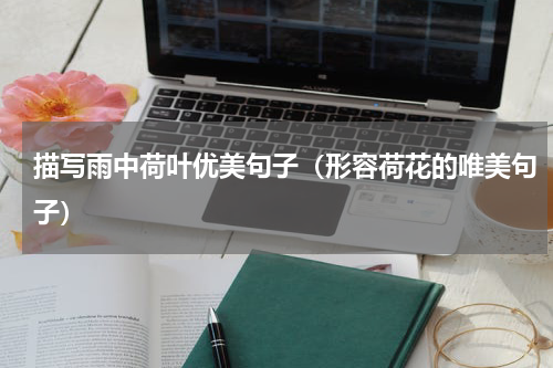 描写雨中荷叶优美句子（形容荷花的唯美句子）