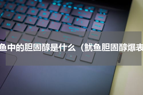 鱿鱼中的胆固醇是什么（鱿鱼胆固醇爆表）