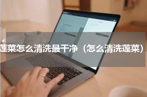 莲菜怎么清洗最干净（怎么清洗莲菜）