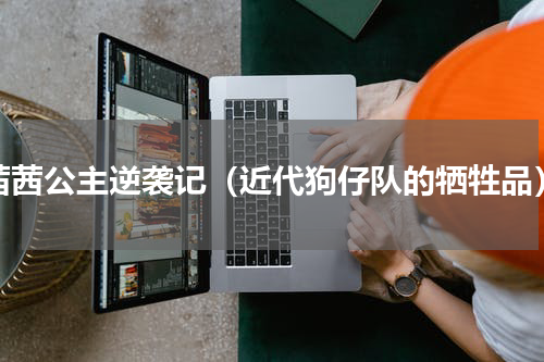 茜茜公主逆袭记（近代狗仔队的牺牲品）