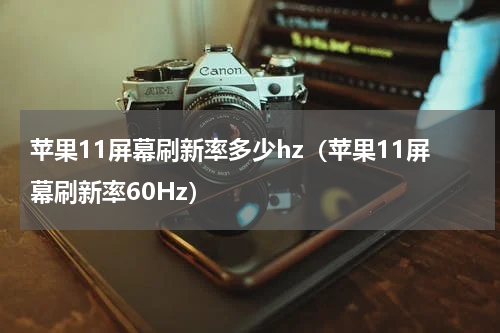 苹果11屏幕刷新率多少hz（苹果11屏幕刷新率60Hz）